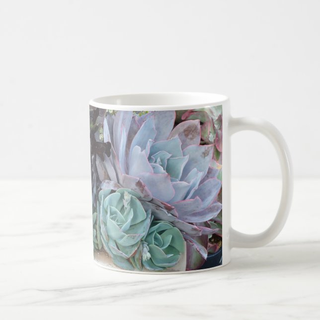 Tasse succulente 2 de jardin (Droite)