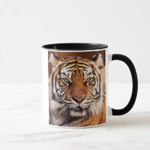 Tasse Sumatran Tiger