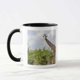 Tasse Sur le safari en Tanzanie, l'Afrique. 2