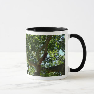 Tasse Sycamore Tree Nature verte