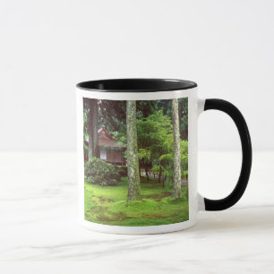 Tasse Temple Sanzen-in, Ohara, Kyoto, Japon