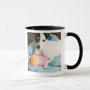 Tasse Terrier de Jack Russell se couchant