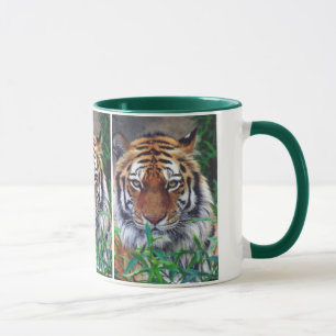 Tasse Tiger Stare