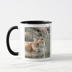 Tasse Tigre dans le courant