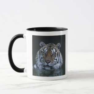 Tasse Tigre dans l'eau