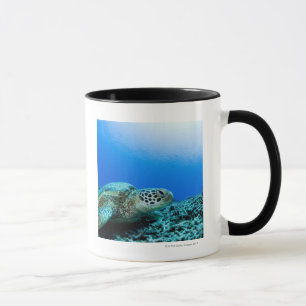 Tasse Tortue de mer se reposant sous l'eau