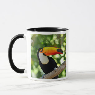 Tasse Toucan