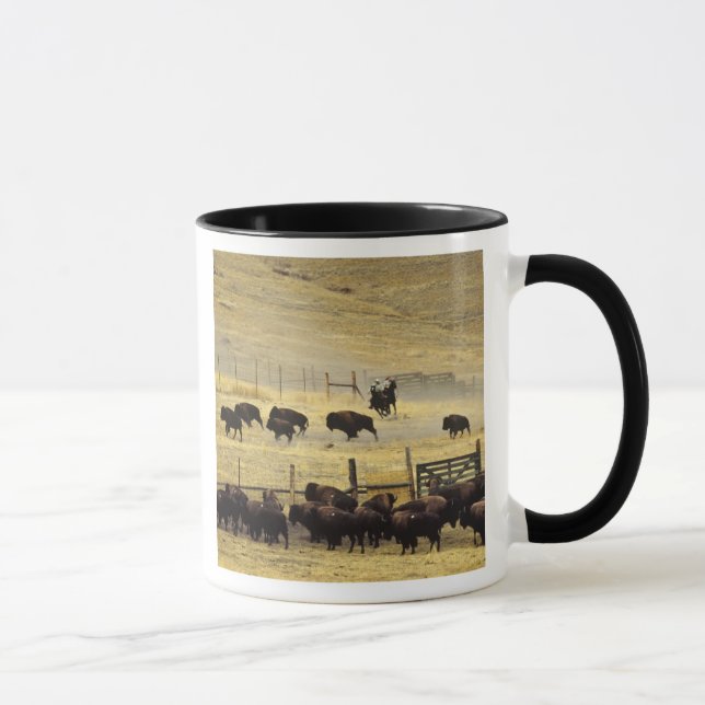 Tasse Tour de la chaîne de bisons du Montana (Droite)