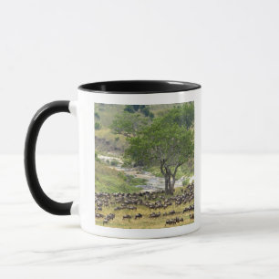 Tasse Troupeau massif de gnous pendant la migration,