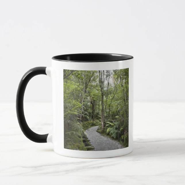 Tasse Un chemin à travers une forêt tropicale à la base (Gauche)