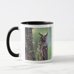 Tasse Une chouette effraie perchée sur une branche d'arb