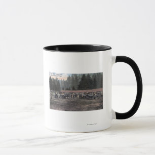 Tasse Une équipe de Mule au Camp Lewis
