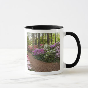 Tasse USA, Géorgie, Pine Mountain. Un chemin à travers