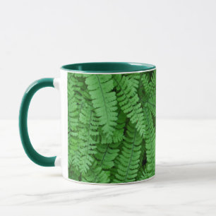 Tasse USA, Oregon, Silverton. Fermes de Maidenhair