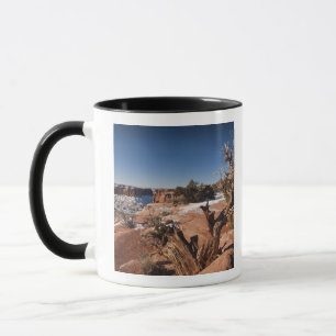 Tasse USA, Utah, Moab. Parc national des Canyonlands