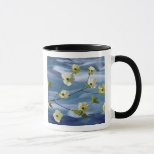Tasse USA, Washington, Hood Canal. Poulet du Pacifique