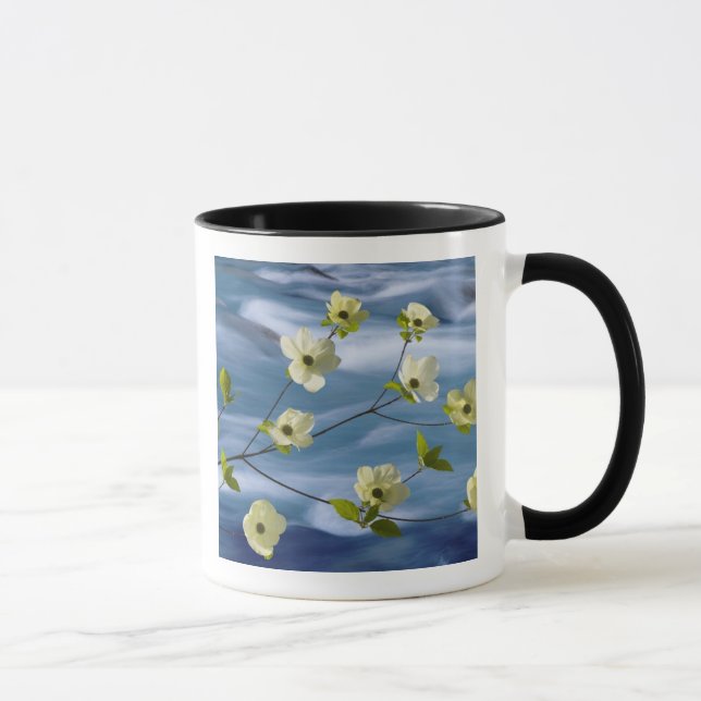 Tasse USA, Washington, Hood Canal. Poulet du Pacifique (Droite)