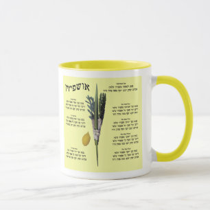 Tasse Ushpizin et blanche d'Arba (4 espèces)