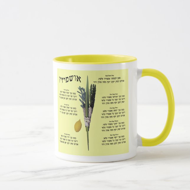 Tasse Ushpizin et blanche d'Arba (4 espèces) (Droite)