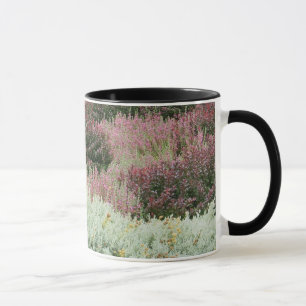Tasse Variété de bruyères