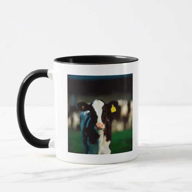 Tasse Veau de frison du Holstein (Gauche)