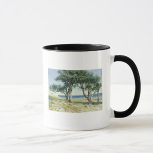 Tasse Vieux oliviers, Bordighera