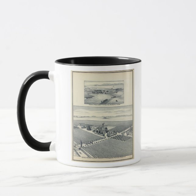 Tasse Vignoble Estella Blanca, Californie (Gauche)