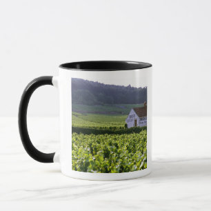 Tasse vignoble Grand Cru Chambertin Clos de Beze avec