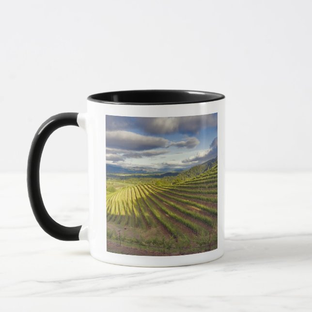 Tasse Vignoble. Napa Valley. Napa. Comté de Napa, (Gauche)