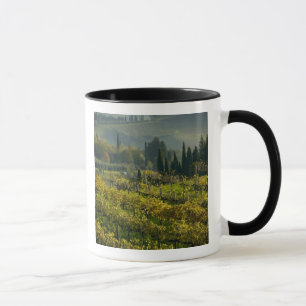 Tasse Vignoble, Toscane, Italie