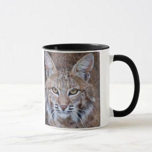 Tasse Visage de chat sauvage