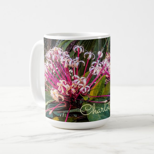 Tasse von Clerodendrum Sternexplosion (Vorderseite Links)
