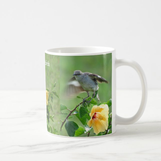 Tasse von drei Spottvögeln Blume (Rechts)