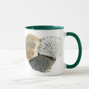 Tasse von Muscheln