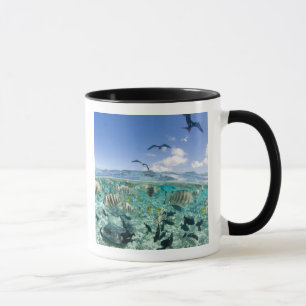 Tasse voyage safari dans un lagon avec des raies