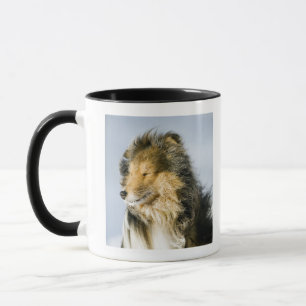 Tasse Vue de chien de berger de Shetland