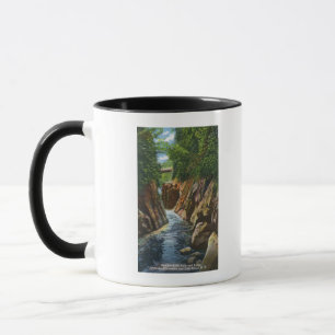 Tasse Vue des automnes et du pont de rivière d'Ausable