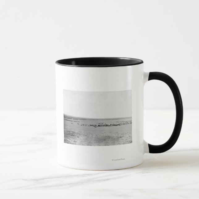 Tasse Vue éloignée des cowboys avec des troupeaux de bét (Droite)