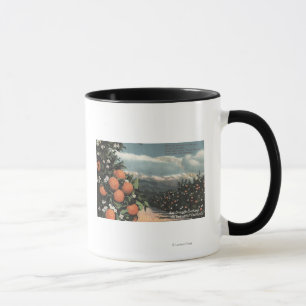Tasse Vue sur un Orange Orchard avec Montagnes