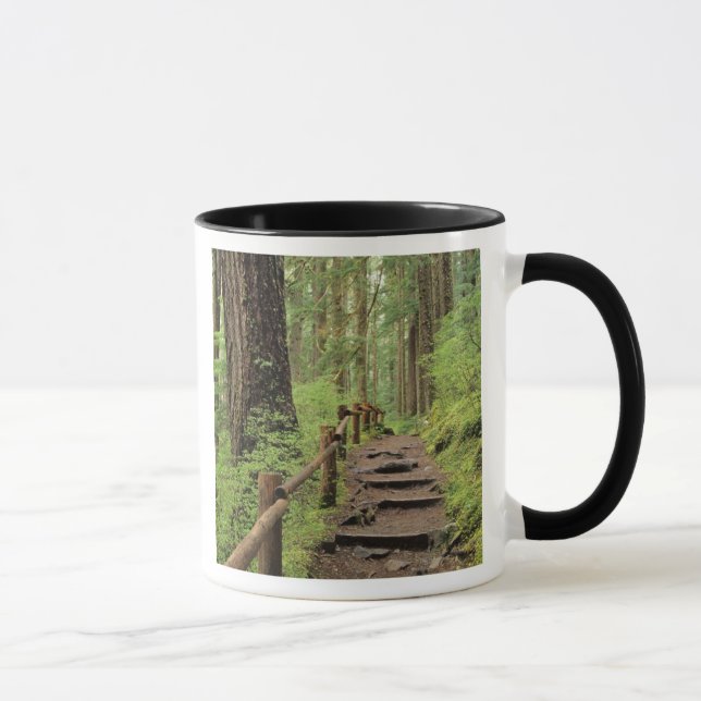 Tasse WA, parc national olympique, vallée de Sol Duc, fo (Droite)