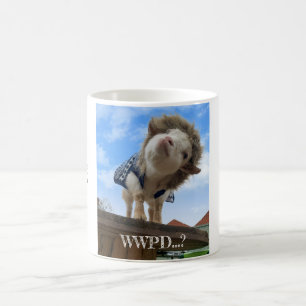 Tasse - Was würde Percy tun?