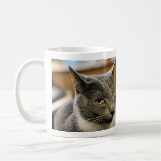 Tasse - Waz Up Girl?