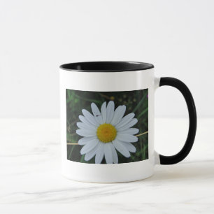Tasse weisse Margeritenblüte