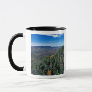 Tasse White Mountain N.F., NH. La vue de proximité