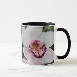 Tasse White Orchids Beautiful Tropical Flowers