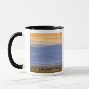 Tasse Wildebeest pendant la migration, Connochetes