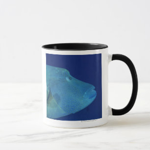 Tasse Wrasse 2 de Humphead