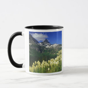 Tasse Xerophyllum à Logan Pass dans le parc national de