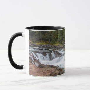 Tasse Yaak Falls en automne dans le Kootenai National