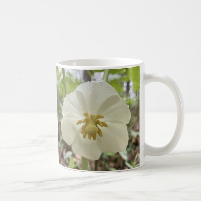 Tasse zur Blume des Weißfrühlings (Rechts)